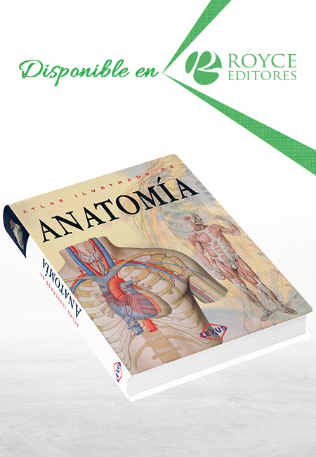 Compra en línea Atlas Ilustrado de Anatomía