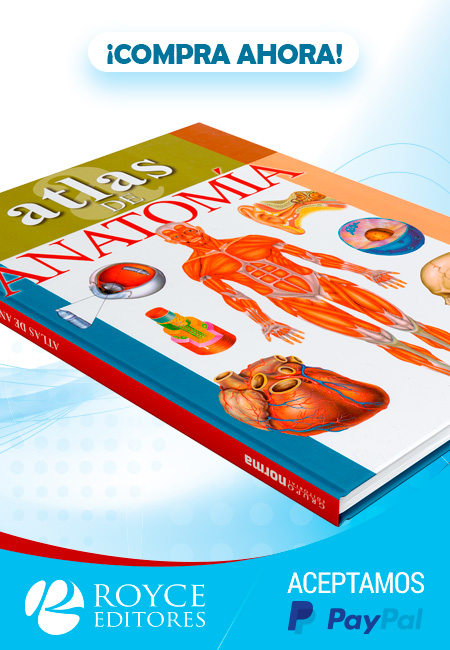 Compra en línea Atlas de Anatomía