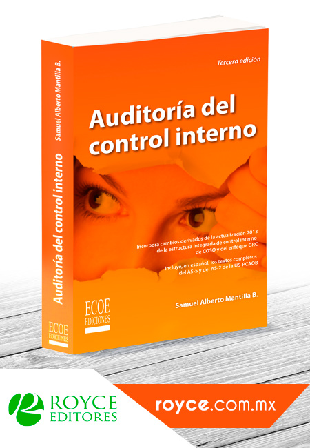 Compra en línea Auditoria del Control Interno