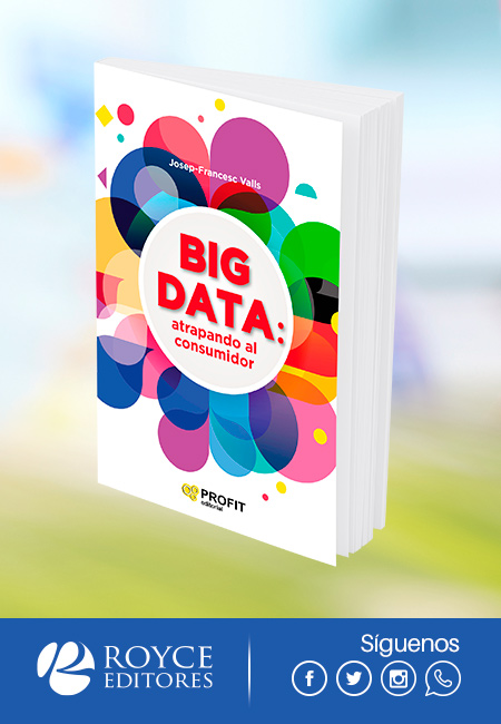 Compra en línea Big Data: Atrapando al Consumidor