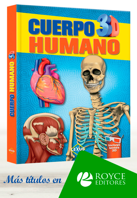 Compra en línea Cuerpo Humano 3D