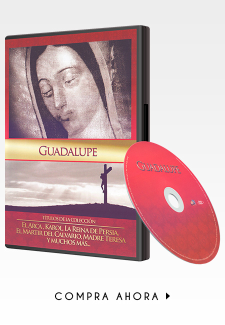 Compra en línea Guadalupe en DVD