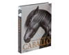 Enciclopedia del Caballo