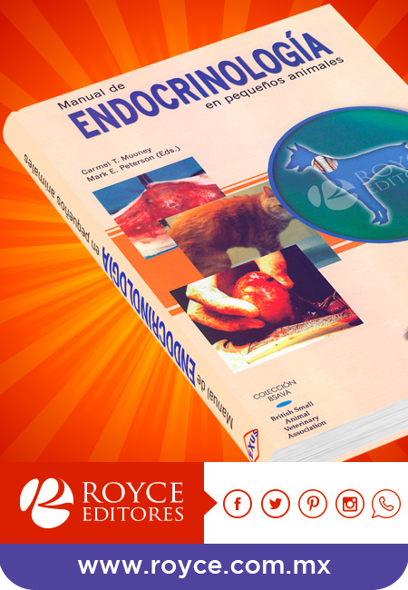 Compra en línea Manual de Endocrinología en Pequeños Animales