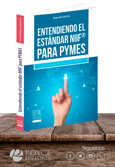 Compra en línea Entendiendo el Estándar NIIF® para Pymes