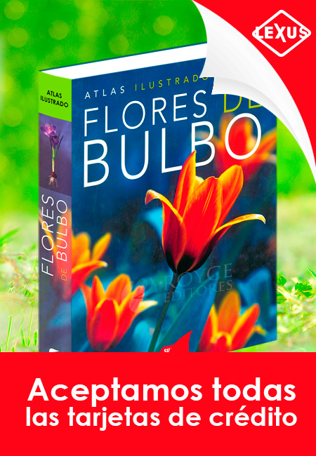 Compra en línea Atlas Ilustrado de las Flores de Bulbo