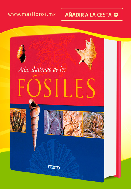 Compra en línea Atlas Ilustrado de los Fósiles