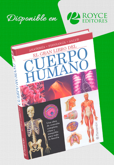 Compra en línea El Gran Libro del Cuerpo Humano