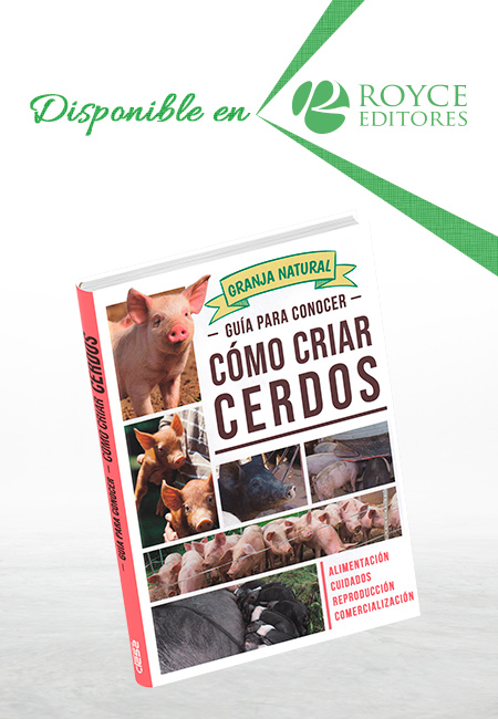 Compra en línea Guía para Conocer Cómo Criar Cerdos