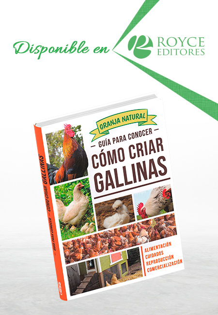 Compra en línea Guía para Conocer Cómo Criar Gallinas
