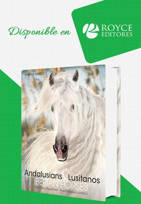 Compra en línea Iberian Horses Andalusians & Lusitanos