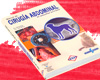 Manual de Cirugía Abdominal en Pequeños Animales