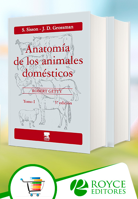 Compra en línea Anatomía de los Animales Domésticos 2 Vols