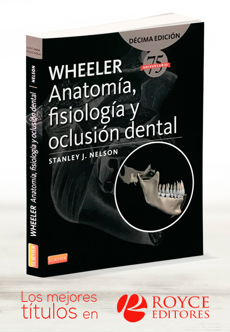 Compra en línea Wheeler Anatomía, Fisiología y Oclusión Dental 10a Edición