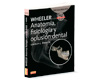 Wheeler Anatomía, Fisiología y Oclusión Dental 10a Edición